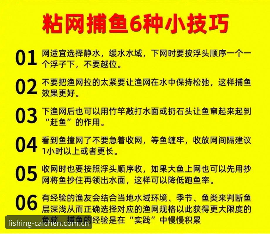 财神捕鱼捕鱼技巧大全官方下载安装教程：从新手到高手的完整指南